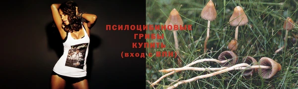 MDMA Premium VHQ Покровск