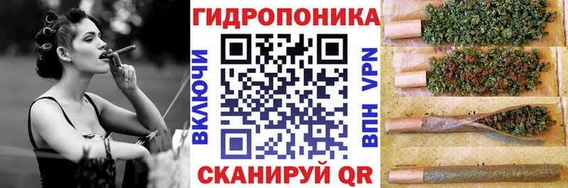 даркнет сайт  Светлогорск  Марихуана сатива 